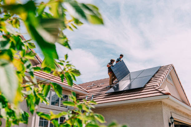Best Roof Gutter Cleaning  in Holly Hill, SC