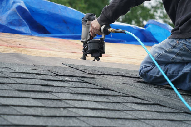 Best Storm Damage Roof Repair  in Holly Hill, SC